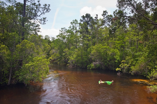 Turkey Creek Nature Trail Park - UF/IFAS Extension Okaloosa County