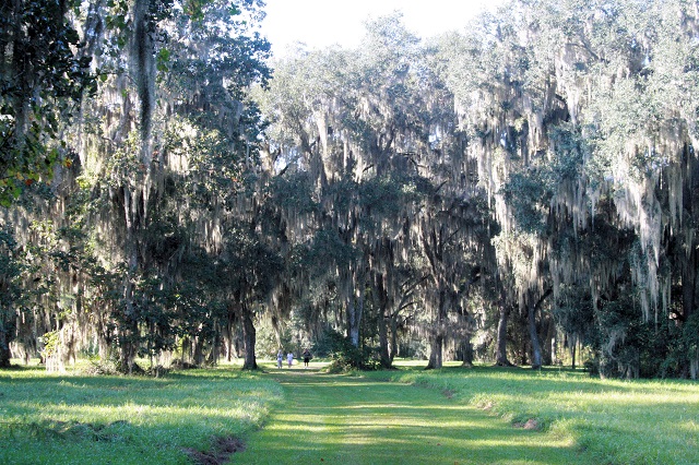 Alligator Lake Recreation Area | GFBWT