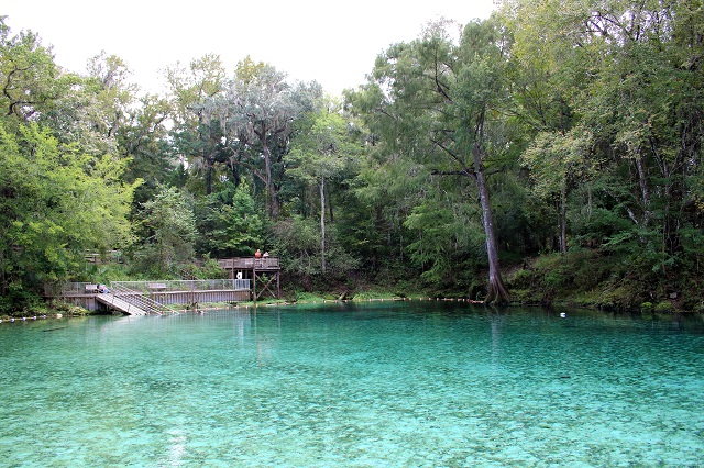 Fanning Springs State Park | GFBWT