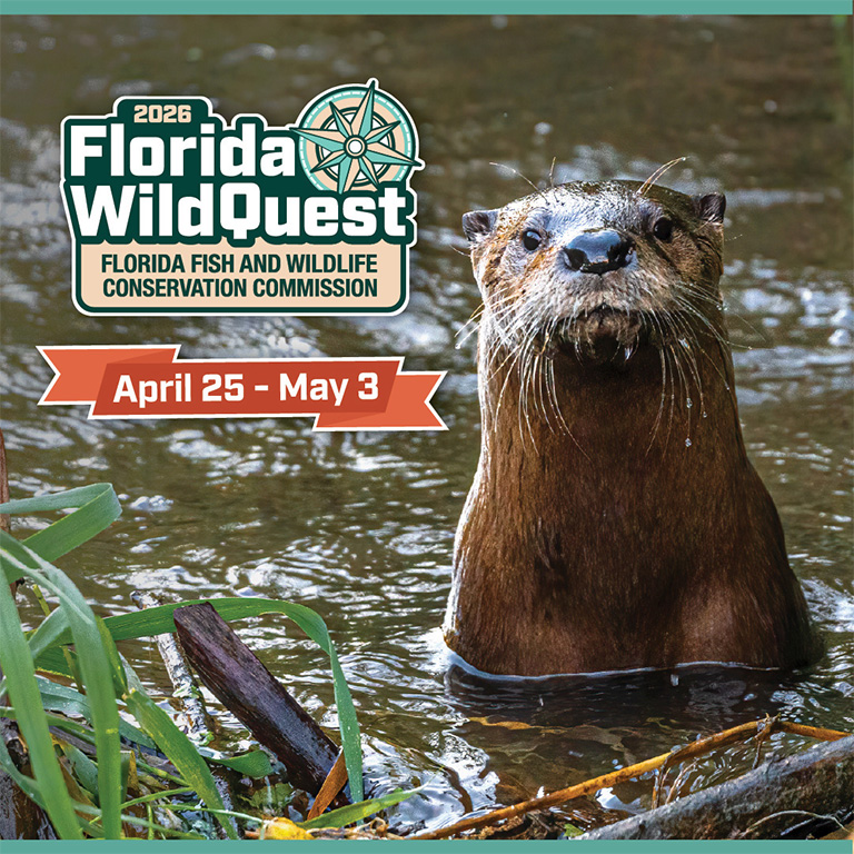 Florida wildquest cta