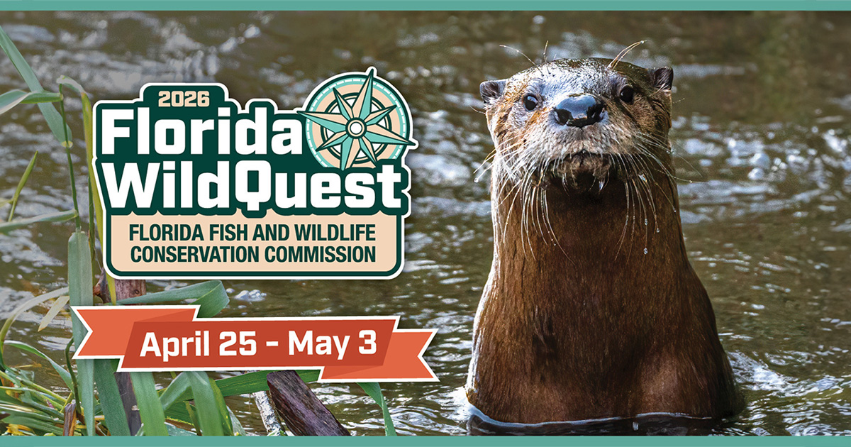 Florida WildQuest